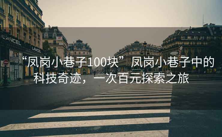 “鳳崗小巷子100塊”鳳崗小巷子中的科技奇跡，一次百元探索之旅