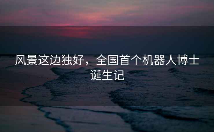 風景這邊獨好，全國首個機器人博士誕生記