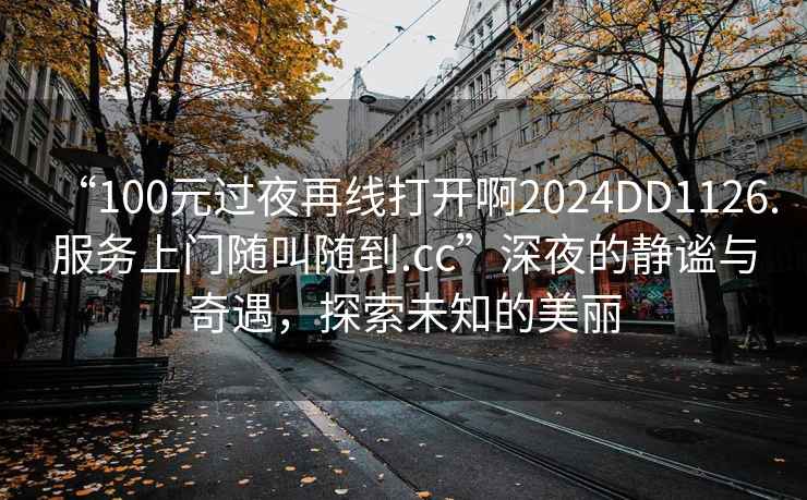 “100元過夜再線打開啊2024DD1126.服務上門隨叫隨到.cc”深夜的靜謐與奇遇，探索未知的美麗