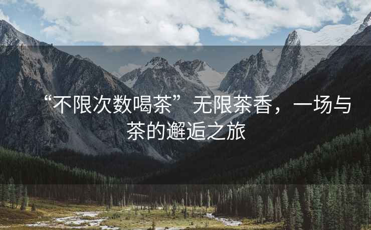 “不限次數喝茶”無限茶香，一場與茶的邂逅之旅