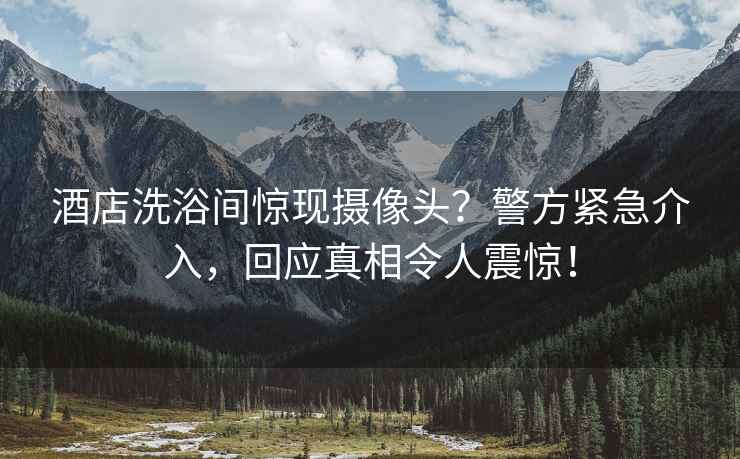 酒店洗浴間驚現攝像頭？警方緊急介入，回應真相令人震驚！
