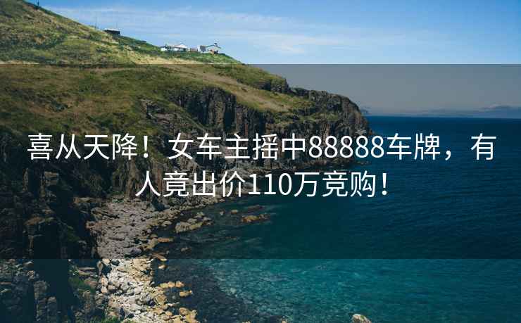 喜從天降！女車主搖中88888車牌，有人竟出價110萬競購！