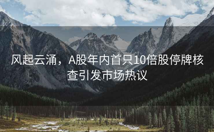 風(fēng)起云涌，A股年內(nèi)首只10倍股停牌核查引發(fā)市場(chǎng)熱議