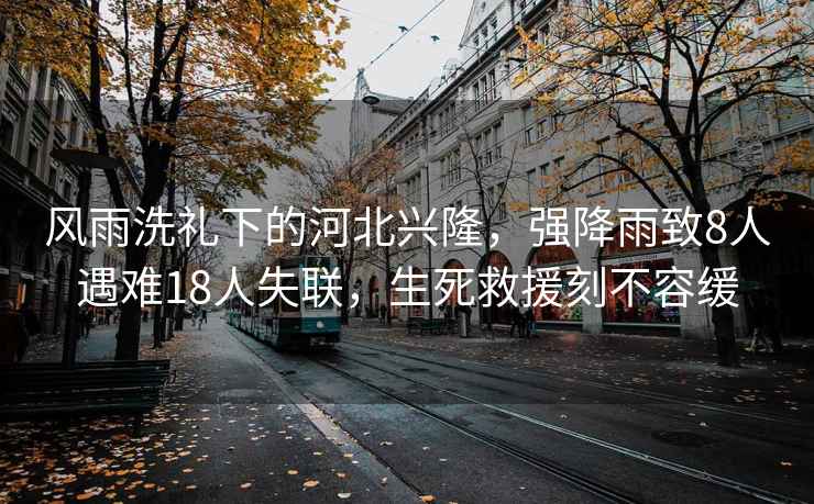 風雨洗禮下的河北興隆，強降雨致8人遇難18人失聯，生死救援刻不容緩