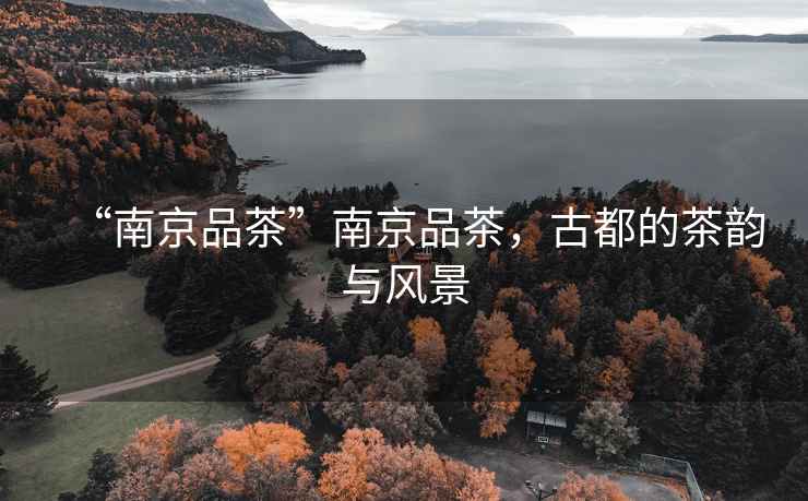 “南京品茶”南京品茶，古都的茶韻與風景