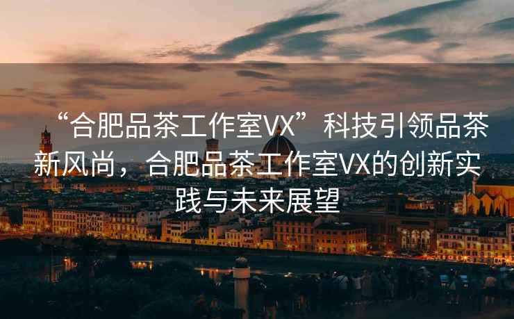 “合肥品茶工作室VX”科技引領品茶新風尚，合肥品茶工作室VX的創新實踐與未來展望