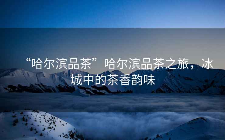 “哈爾濱品茶”哈爾濱品茶之旅，冰城中的茶香韻味