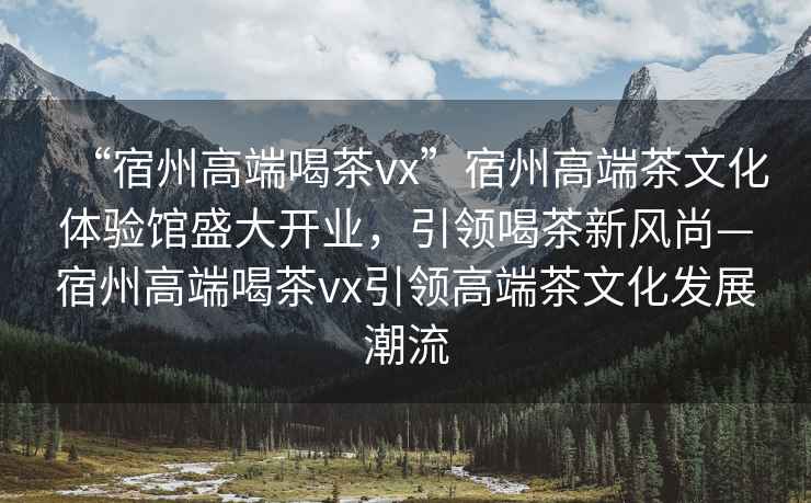 “宿州高端喝茶vx”宿州高端茶文化體驗館盛大開業，引領喝茶新風尚—宿州高端喝茶vx引領高端茶文化發展潮流