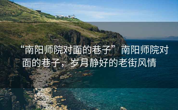 “南陽師院對面的巷子”南陽師院對面的巷子，歲月靜好的老街風情