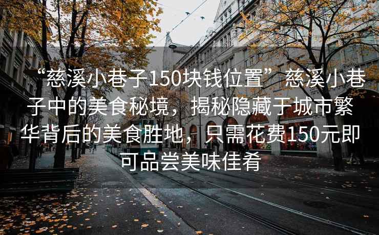 “慈溪小巷子150塊錢位置”慈溪小巷子中的美食秘境，揭秘隱藏于城市繁華背后的美食勝地，只需花費(fèi)150元即可品嘗美味佳肴