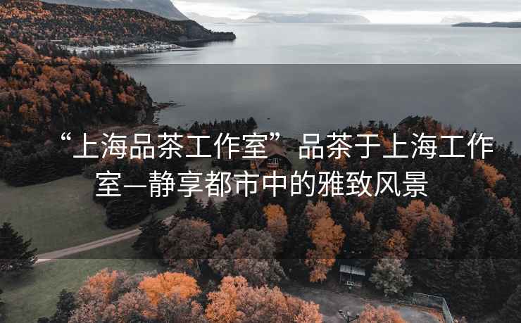 “上海品茶工作室”品茶于上海工作室—靜享都市中的雅致風景