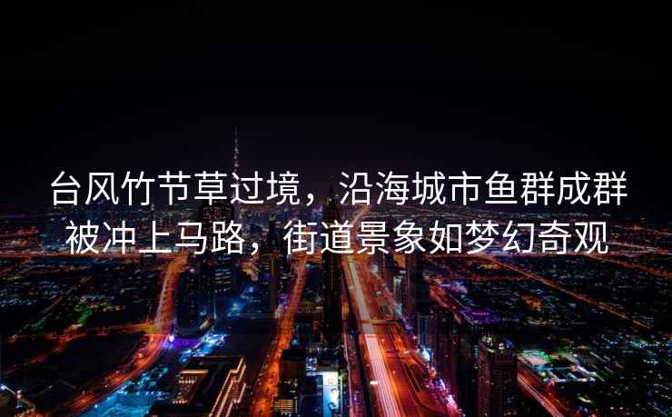 臺風(fēng)竹節(jié)草過境，沿海城市魚群成群被沖上馬路，街道景象如夢幻奇觀