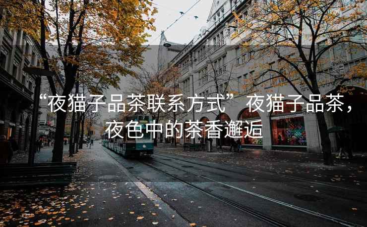 “夜貓子品茶聯系方式”夜貓子品茶，夜色中的茶香邂逅