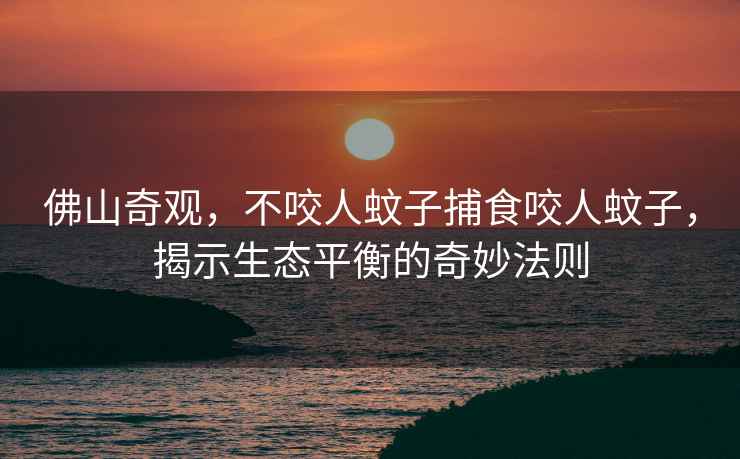 佛山奇觀，不咬人蚊子捕食咬人蚊子，揭示生態(tài)平衡的奇妙法則