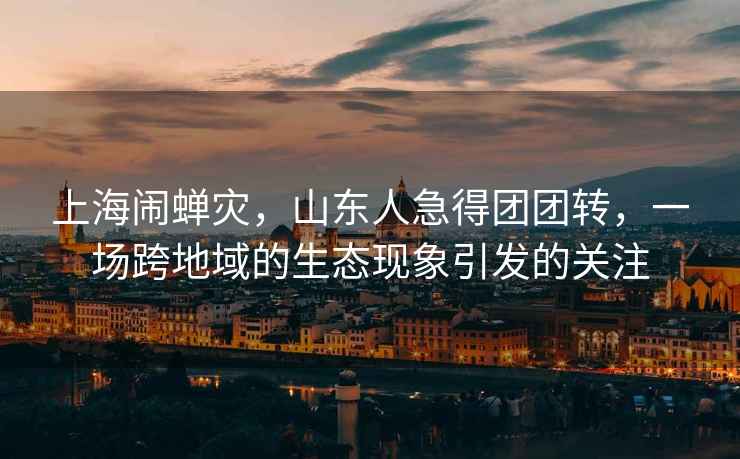 上海鬧蟬災，山東人急得團團轉，一場跨地域的生態現象引發的關注