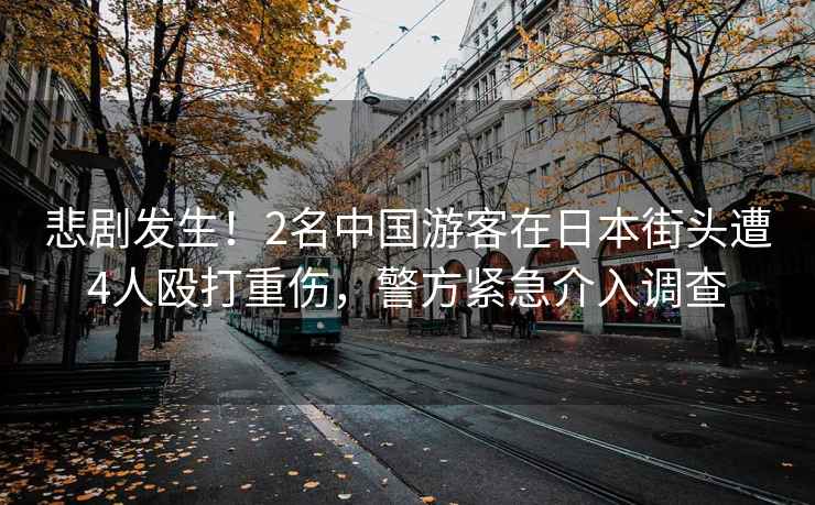 悲劇發生！2名中國游客在日本街頭遭4人毆打重傷，警方緊急介入調查