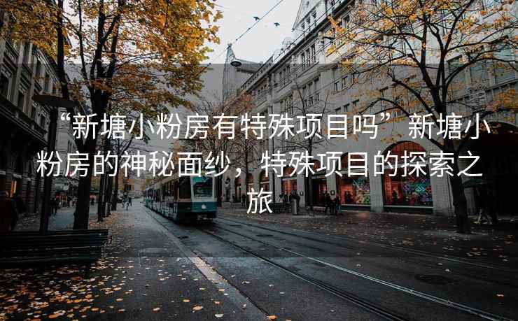 “新塘小粉房有特殊項目嗎”新塘小粉房的神秘面紗，特殊項目的探索之旅