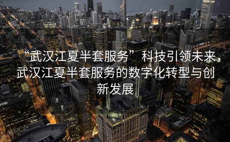 “武漢江夏半套服務(wù)”科技引領(lǐng)未來，武漢江夏半套服務(wù)的數(shù)字化轉(zhuǎn)型與創(chuàng)新發(fā)展