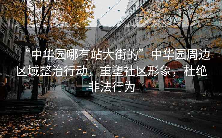 “中華園哪有站大街的”中華園周邊區域整治行動，重塑社區形象，杜絕非法行為