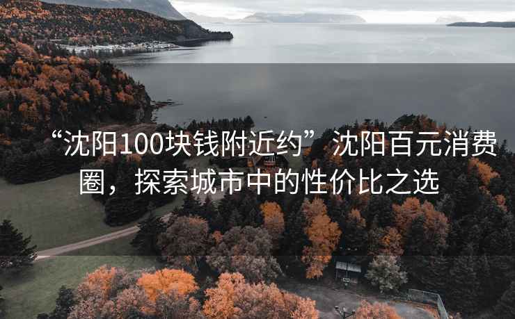“沈陽100塊錢附近約”沈陽百元消費圈，探索城市中的性價比之選