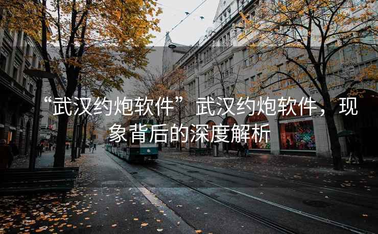 “武漢約炮軟件”武漢約炮軟件，現象背后的深度解析