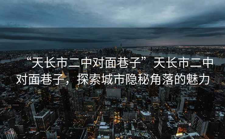 “天長市二中對面巷子”天長市二中對面巷子，探索城市隱秘角落的魅力