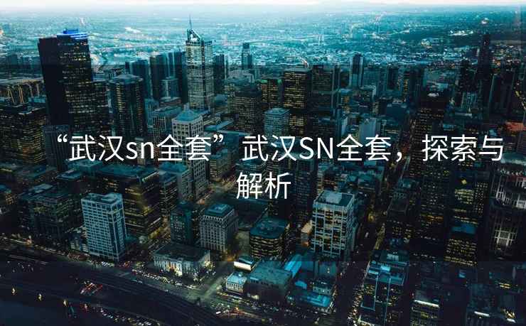 “武漢sn全套”武漢SN全套，探索與解析