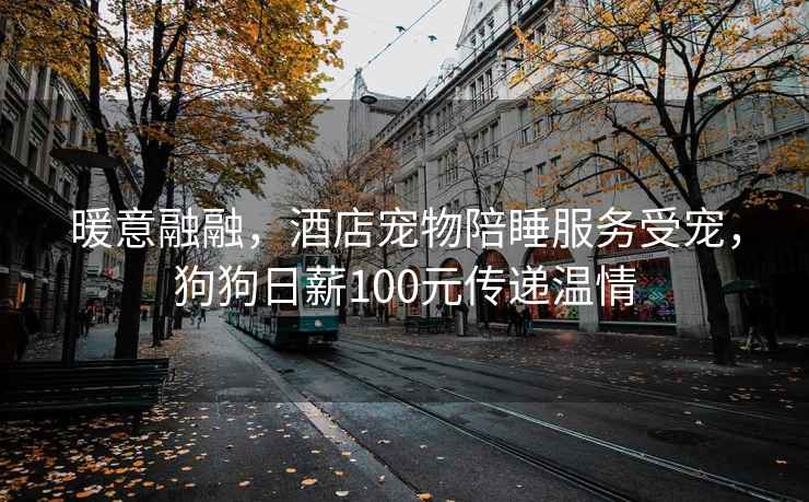 暖意融融，酒店寵物陪睡服務受寵，狗狗日薪100元傳遞溫情