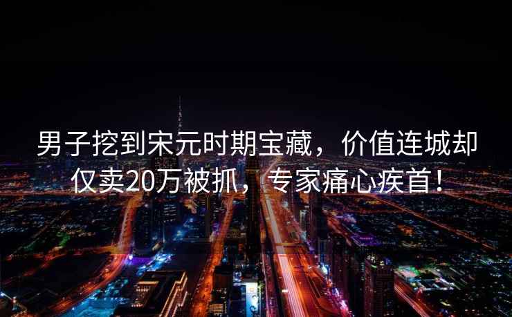 男子挖到宋元時期寶藏，價值連城卻僅賣20萬被抓，專家痛心疾首！