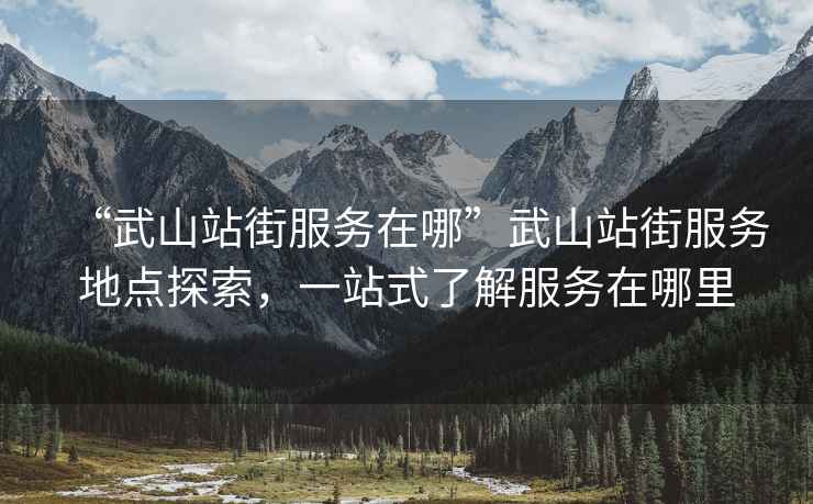 “武山站街服務(wù)在哪”武山站街服務(wù)地點(diǎn)探索，一站式了解服務(wù)在哪里
