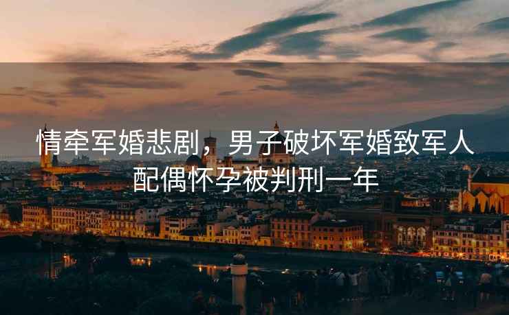 情牽軍婚悲劇，男子破壞軍婚致軍人配偶懷孕被判刑一年