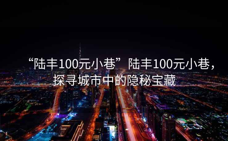 “陸豐100元小巷”陸豐100元小巷，探尋城市中的隱秘寶藏