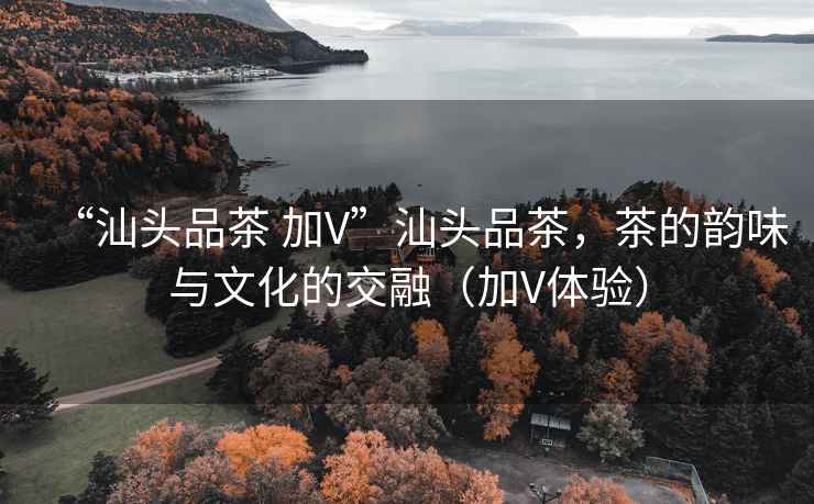 “汕頭品茶 加V”汕頭品茶，茶的韻味與文化的交融（加V體驗）