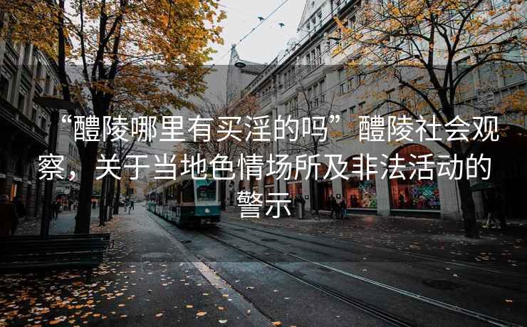 “醴陵哪里有買淫的嗎”醴陵社會觀察，關于當地色情場所及非法活動的警示