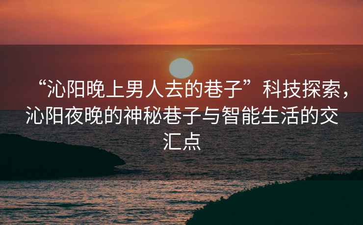 “沁陽晚上男人去的巷子”科技探索，沁陽夜晚的神秘巷子與智能生活的交匯點