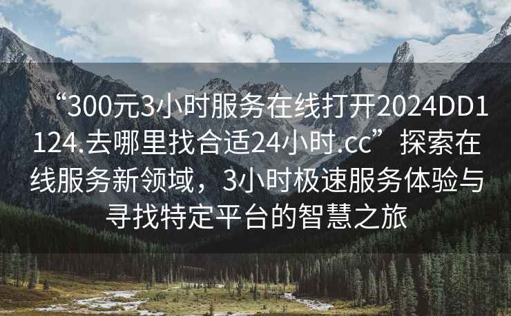“300元3小時服務在線打開2024DD1124.去哪里找合適24小時.cc”探索在線服務新領域，3小時極速服務體驗與尋找特定平臺的智慧之旅