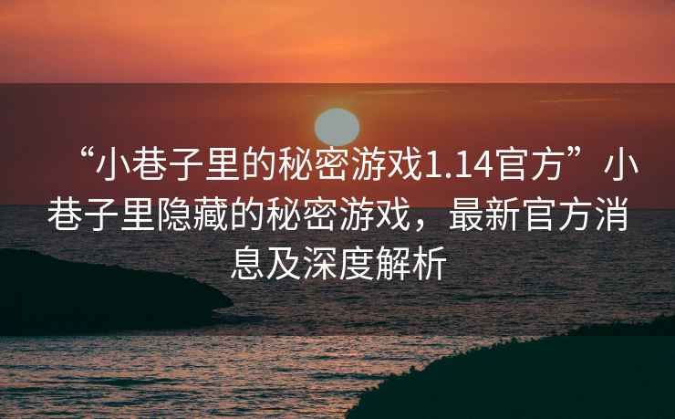 “小巷子里的秘密游戲1.14官方”小巷子里隱藏的秘密游戲，最新官方消息及深度解析