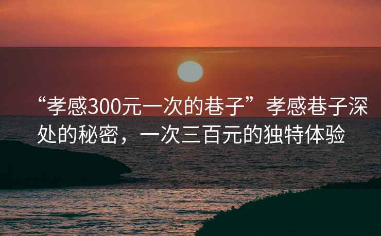 “孝感300元一次的巷子”孝感巷子深處的秘密，一次三百元的獨特體驗