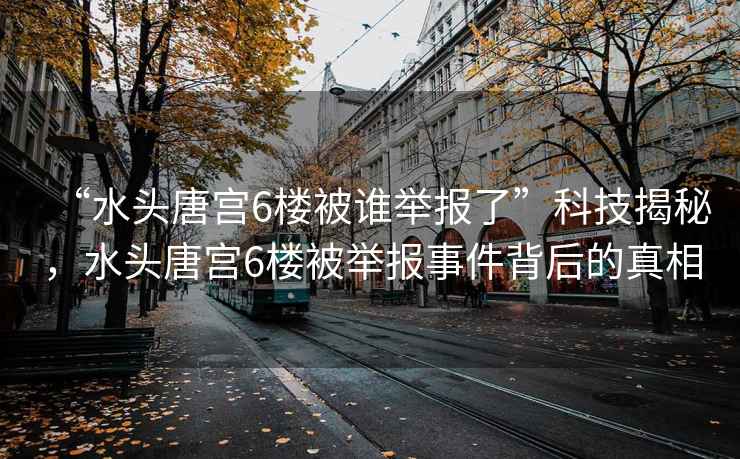 “水頭唐宮6樓被誰舉報了”科技揭秘，水頭唐宮6樓被舉報事件背后的真相