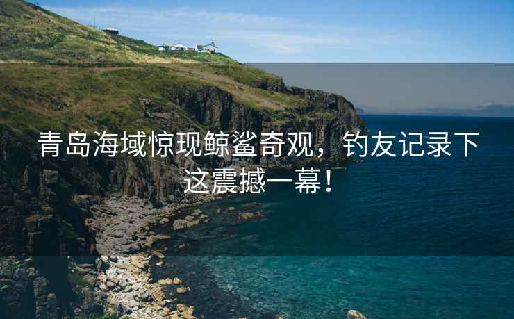 青島海域驚現(xiàn)鯨鯊奇觀，釣友記錄下這震撼一幕！