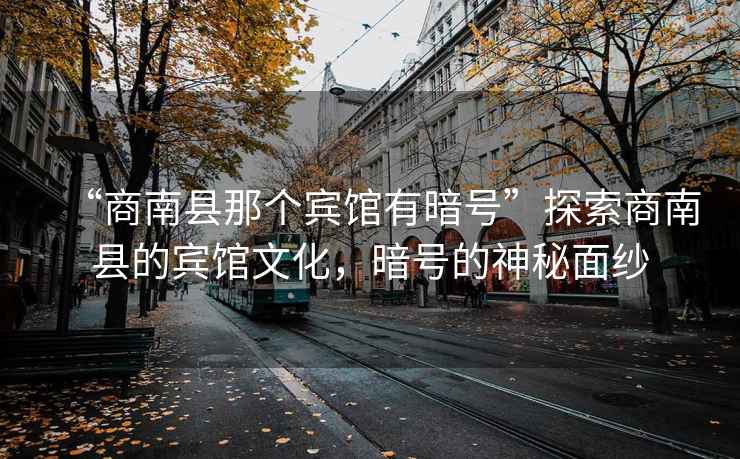 “商南縣那個賓館有暗號”探索商南縣的賓館文化，暗號的神秘面紗