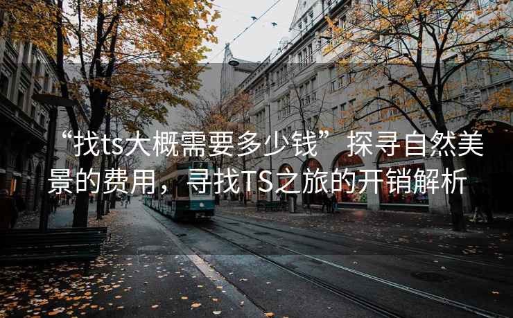 “找ts大概需要多少錢”探尋自然美景的費用，尋找TS之旅的開銷解析