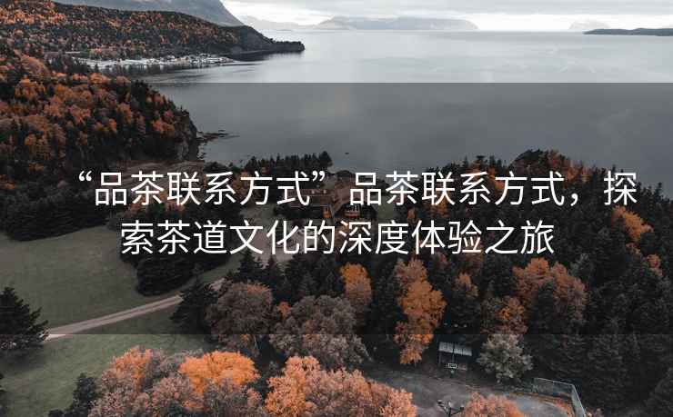 “品茶聯系方式”品茶聯系方式，探索茶道文化的深度體驗之旅