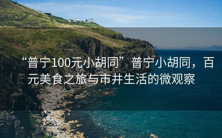 “普寧100元小胡同”普寧小胡同，百元美食之旅與市井生活的微觀察