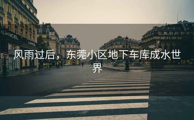 風雨過后，東莞小區地下車庫成水世界