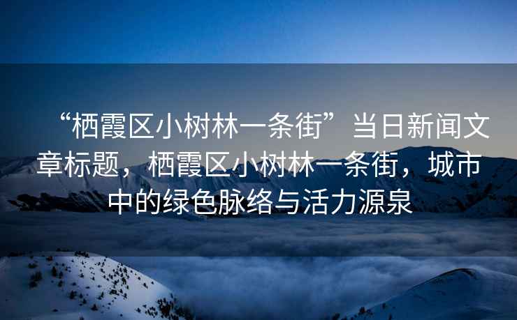 “棲霞區小樹林一條街”當日新聞文章標題，棲霞區小樹林一條街，城市中的綠色脈絡與活力源泉