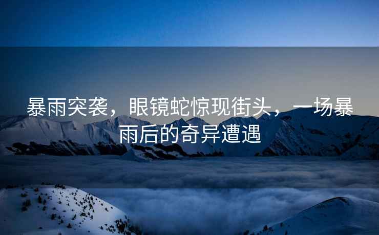 暴雨突襲，眼鏡蛇驚現街頭，一場暴雨后的奇異遭遇