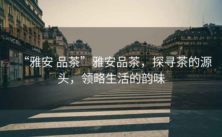 “雅安 品茶”雅安品茶，探尋茶的源頭，領略生活的韻味