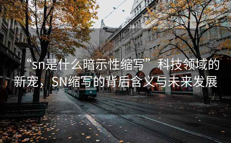 “sn是什么暗示性縮寫”科技領域的新寵，SN縮寫的背后含義與未來發展