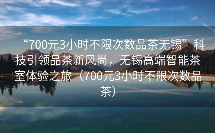 “700元3小時不限次數(shù)品茶無錫”科技引領(lǐng)品茶新風(fēng)尚，無錫高端智能茶室體驗之旅（700元3小時不限次數(shù)品茶）